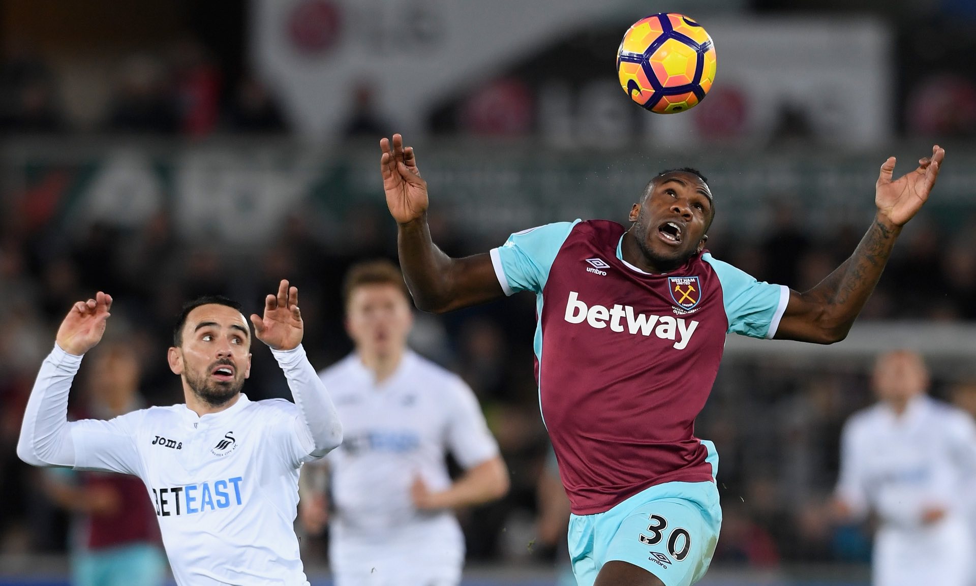 他们都会进 他们都会进